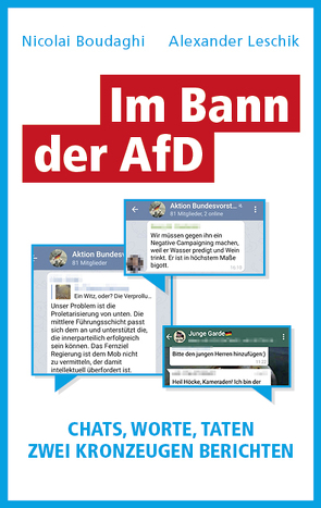 Im Bann der AfD von Boudaghi,  Nicolai, Leschik,  Alexander, Löer,  Wigbert