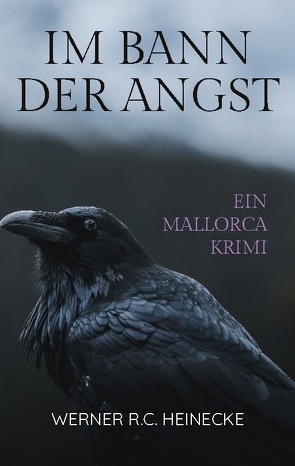 Im Bann der Angst von Heinecke,  Werner R. C.