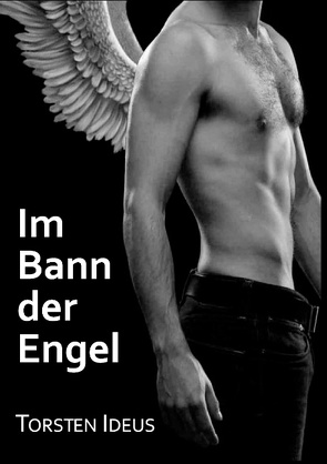 Im Bann der Engel von Ideus,  Torsten