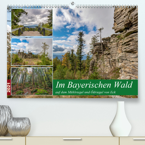 Im Bayerischen Wald auf dem Mühlriegel und Ödriegel von Eck (Premium, hochwertiger DIN A2 Wandkalender 2021, Kunstdruck in Hochglanz) von Haidl,  Christian