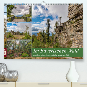 Im Bayerischen Wald auf dem Mühlriegel und Ödriegel von Eck (Premium, hochwertiger DIN A2 Wandkalender 2022, Kunstdruck in Hochglanz) von Haidl,  Christian