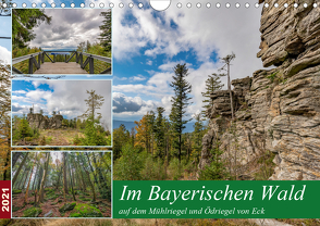 Im Bayerischen Wald auf dem Mühlriegel und Ödriegel von Eck (Wandkalender 2021 DIN A4 quer) von Haidl,  Christian