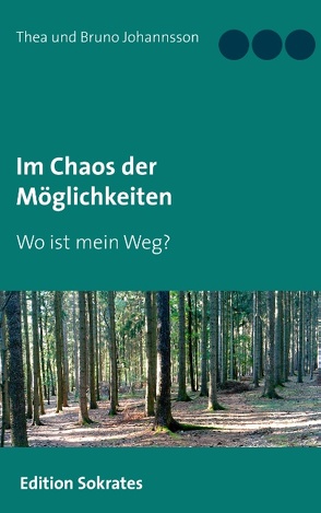 Im Chaos der Möglichkeiten von Johannsson,  Bruno, Johannsson,  Thea