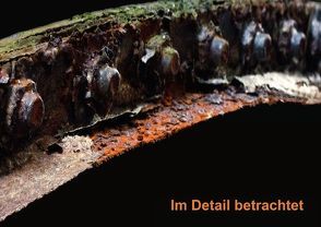 Im Detail betrachtet (Posterbuch DIN A2 quer) von AnGe,  k.A.