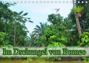Im Dschungel von Borneo (Tischkalender 2019 DIN A5 quer) von Müller,  Erika