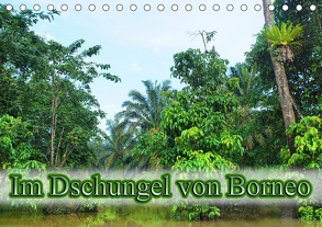 Im Dschungel von Borneo (Tischkalender 2020 DIN A5 quer) von Müller,  Erika