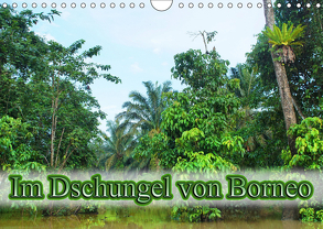 Im Dschungel von Borneo (Wandkalender 2019 DIN A4 quer) von Müller,  Erika