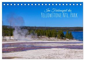 Im Farbenspiel des Yellowstone Natl. Park (Tischkalender 2024 DIN A5 quer), CALVENDO Monatskalender von Drafz,  Silvia