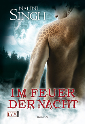 Im Feuer der Nacht von Lachmann,  Nora, Singh,  Nalini