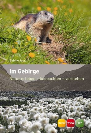 Im Gebirge von Joss,  Sabine