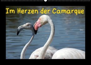 Im Herzen der Camargue (Wandkalender 2018 DIN A2 quer) von Löwe,  Karsten