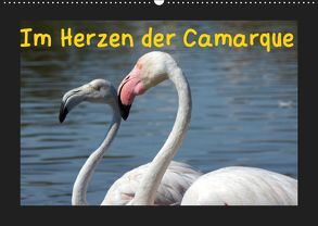 Im Herzen der Camargue (Wandkalender 2019 DIN A2 quer) von Löwe,  Karsten