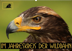 Im Jahreskreis der Wildbahn (Wandkalender 2023 DIN A2 quer) von Stamm,  Dirk