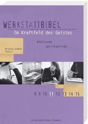 Im Kraftfeld des Geistes von Schaefer,  Brigitte