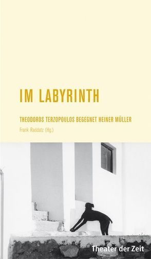 Im Labyrinth von Raddatz,  Frank M