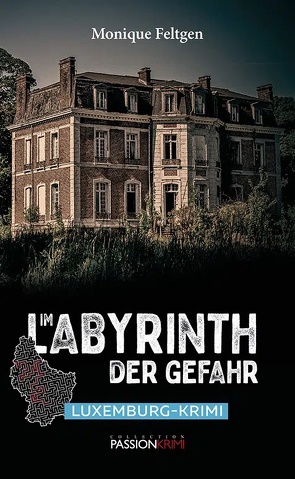 Im Labyrinth der Gefahr von Feltgen,  Monique