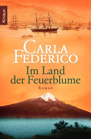 Im Land der Feuerblume von Federico,  Carla