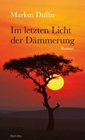 Im letzten Licht der Dämmerung von Dullin,  Markus