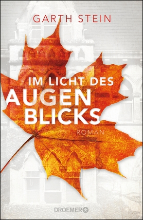 Im Licht des Augenblicks von Löcher-Lawrence,  Werner, Stein,  Garth