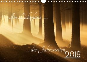 Im Lichtglanz der Jahreszeiten (Wandkalender 2018 DIN A4 quer) von Burger,  Jochen