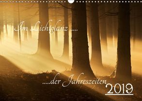 Im Lichtglanz der Jahreszeiten (Wandkalender 2019 DIN A3 quer) von Burger,  Jochen