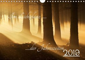 Im Lichtglanz der Jahreszeiten (Wandkalender 2019 DIN A4 quer) von Burger,  Jochen