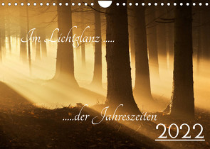 Im Lichtglanz der Jahreszeiten (Wandkalender 2022 DIN A4 quer) von Burger,  Jochen