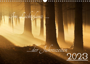 Im Lichtglanz der Jahreszeiten (Wandkalender 2023 DIN A3 quer) von Burger,  Jochen