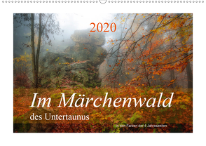 Im Märchenwald des Untertaunus (Wandkalender 2020 DIN A2 quer) von Rut Brè Designs,  Ana