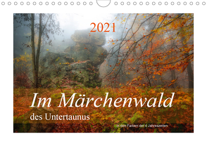 Im Märchenwald des Untertaunus (Wandkalender 2021 DIN A4 quer) von Rut Brè Designs,  Ana