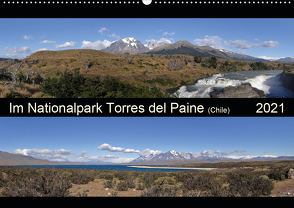 Im Nationalpark Torres del Paine (Chile) (Wandkalender 2021 DIN A2 quer) von Flori0