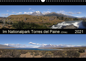 Im Nationalpark Torres del Paine (Chile) (Wandkalender 2021 DIN A3 quer) von Flori0