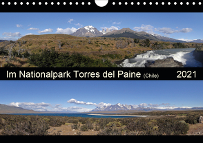 Im Nationalpark Torres del Paine (Chile) (Wandkalender 2021 DIN A4 quer) von Flori0