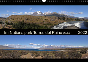 Im Nationalpark Torres del Paine (Chile) (Wandkalender 2022 DIN A3 quer) von Flori0