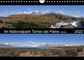 Im Nationalpark Torres del Paine (Chile) (Wandkalender 2022 DIN A4 quer) von Flori0