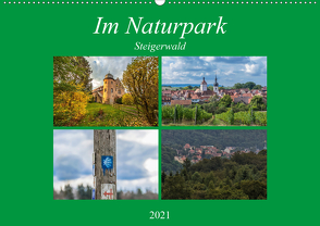 Im Naturpark Steigerwald (Wandkalender 2021 DIN A2 quer) von Will,  Hans