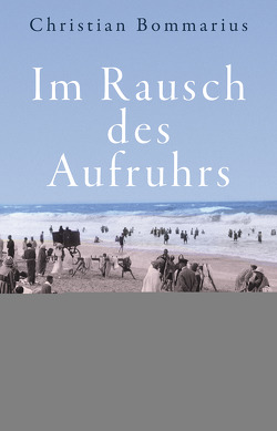 Im Rausch des Aufruhrs von Bommarius,  Christian