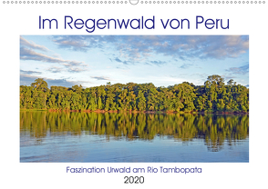 Im Regenwald von Peru, Faszination Urwald am Rio Tambopata (Wandkalender 2020 DIN A2 quer) von Senff,  Ulrich