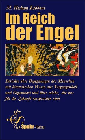 Im Reich der Engel von Kabbani,  Muhammad Hisham, Murata,  Sachiko