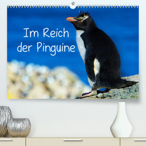 Im Reich der Pinguine (Premium, hochwertiger DIN A2 Wandkalender 2022, Kunstdruck in Hochglanz) von Pfaff,  Hans-Gerhard