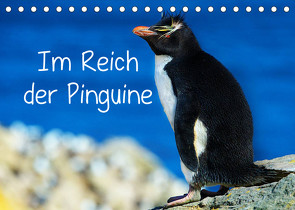 Im Reich der Pinguine (Tischkalender 2022 DIN A5 quer) von Pfaff,  Hans-Gerhard