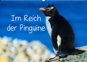 Im Reich der Pinguine (Wandkalender 2022 DIN A2 quer) von Pfaff,  Hans-Gerhard