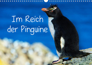 Im Reich der Pinguine (Wandkalender 2022 DIN A3 quer) von Pfaff,  Hans-Gerhard