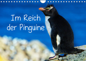 Im Reich der Pinguine (Wandkalender 2022 DIN A4 quer) von Pfaff,  Hans-Gerhard