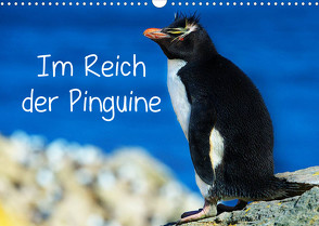 Im Reich der Pinguine (Wandkalender 2023 DIN A3 quer) von Pfaff,  Hans-Gerhard