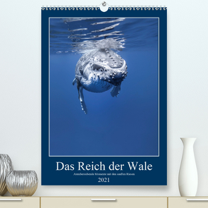 Im Reich der Wale (Premium, hochwertiger DIN A2 Wandkalender 2021, Kunstdruck in Hochglanz) von Travelpixx.com