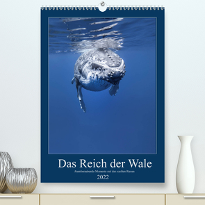 Im Reich der Wale (Premium, hochwertiger DIN A2 Wandkalender 2022, Kunstdruck in Hochglanz) von Travelpixx.com