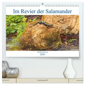 Im Revier der Salamander (hochwertiger Premium Wandkalender 2024 DIN A2 quer), Kunstdruck in Hochglanz von Erlwein,  Winfried