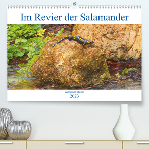 Im Revier der Salamander (Premium, hochwertiger DIN A2 Wandkalender 2023, Kunstdruck in Hochglanz) von Erlwein,  Winfried