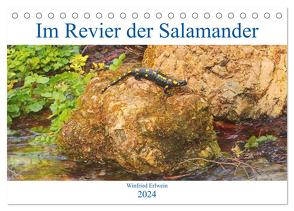 Im Revier der Salamander (Tischkalender 2024 DIN A5 quer), CALVENDO Monatskalender von Erlwein,  Winfried